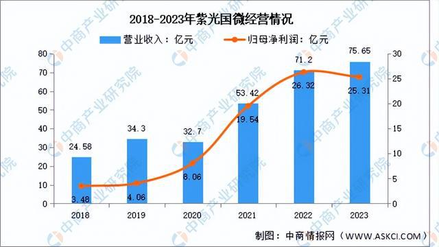 JDB夺宝电子官网2024年中国芯片设计行业市场前景预测研究报告（简版）(图6)